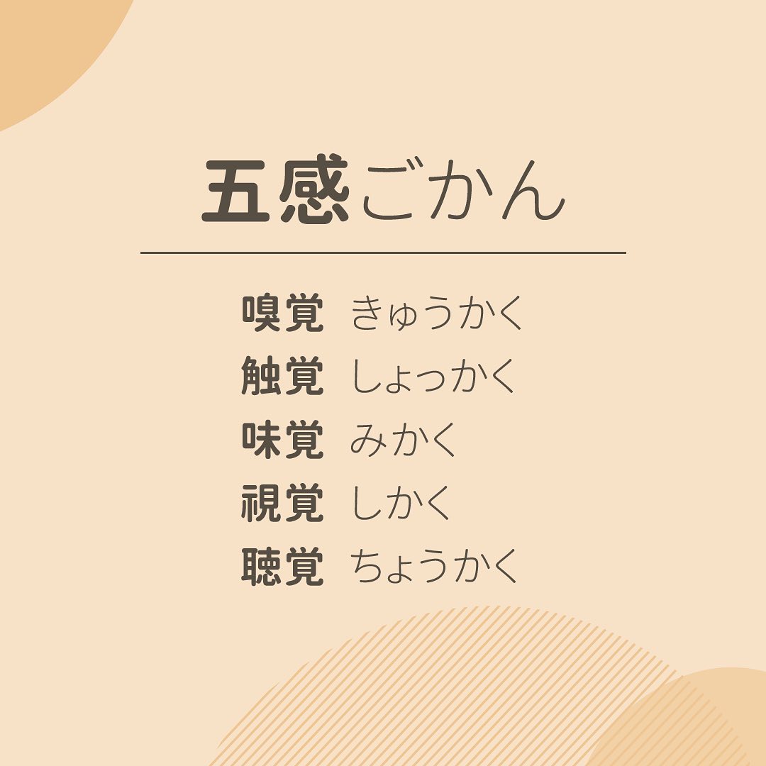 **DramaNote日文加減教** 圖片 1