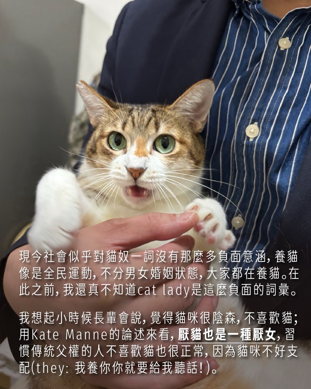 #女士優先 中，為什麼戴米恩養的是貓？ 圖片 8